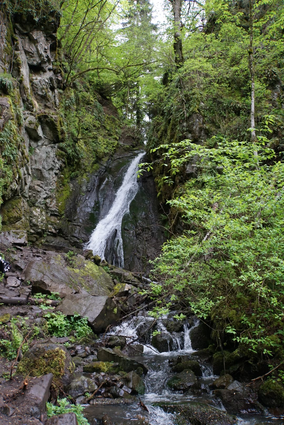 Borjomi