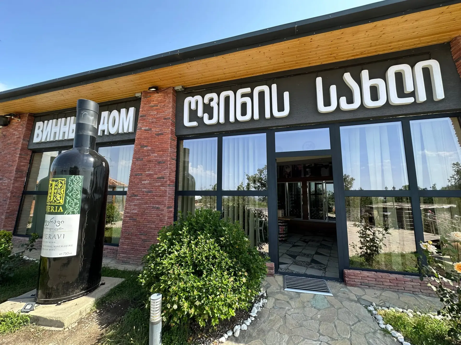 Kakheti vineyard rows with Alazani Valley backdrop